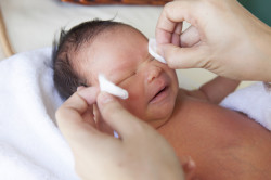 Правильная обработка глаз новорожденного